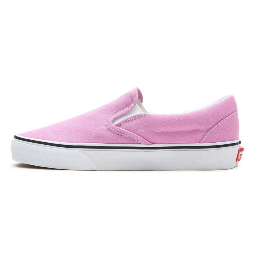 Vans Classic Slip-on Sko Ruzove | VN354G7TS43