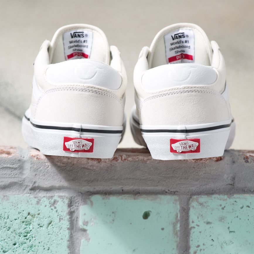Vans Rowan Pro Sko Biele | VN294N3VF92